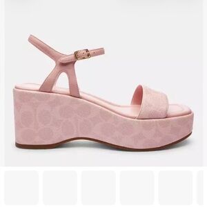 Coach Powder Pink Gale Wedge Sandal ,9,New in Box!